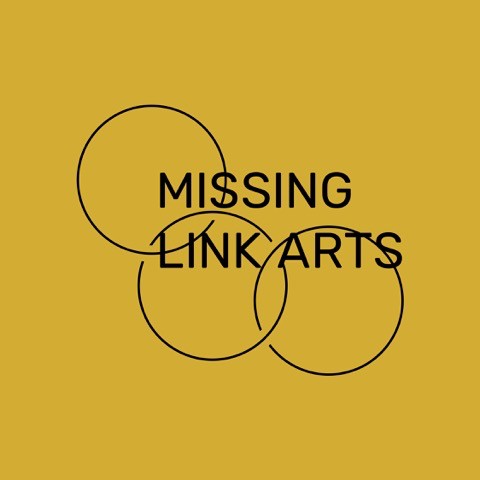 MISSING LINK logo